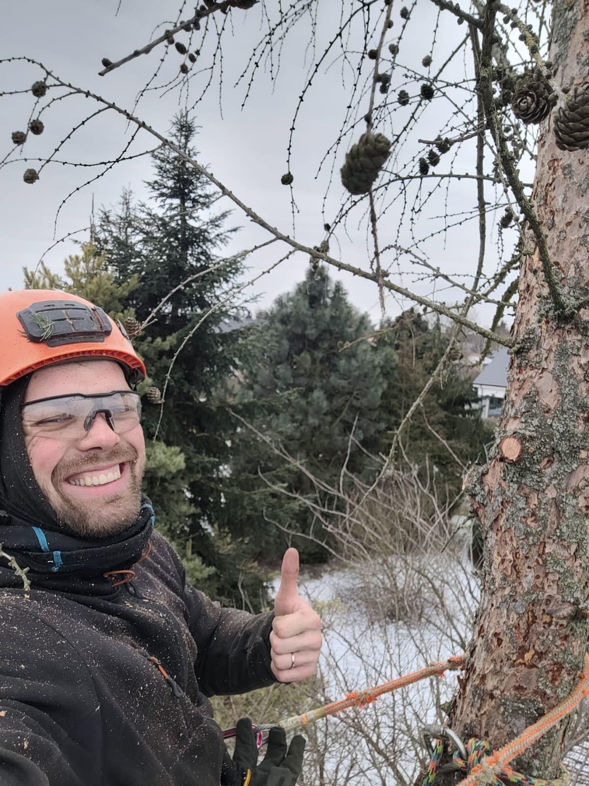 Dawid z kciukiem w górę w koronie drzewa – radość po udanej robocie